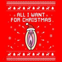 Dirty Ugly Christmas For Husband Or Friend Gift Santa Hat thumb 1