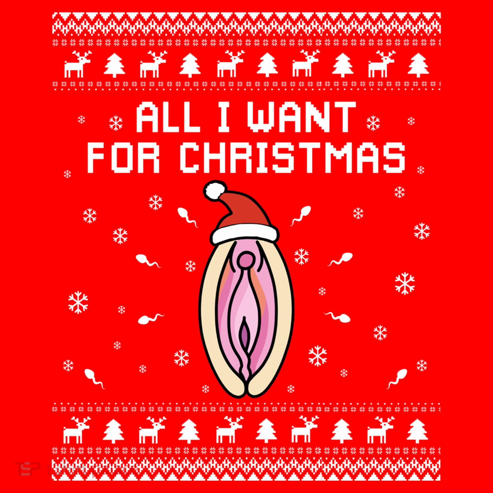 Dirty Ugly Christmas For Husband Or Friend Gift Santa Hat