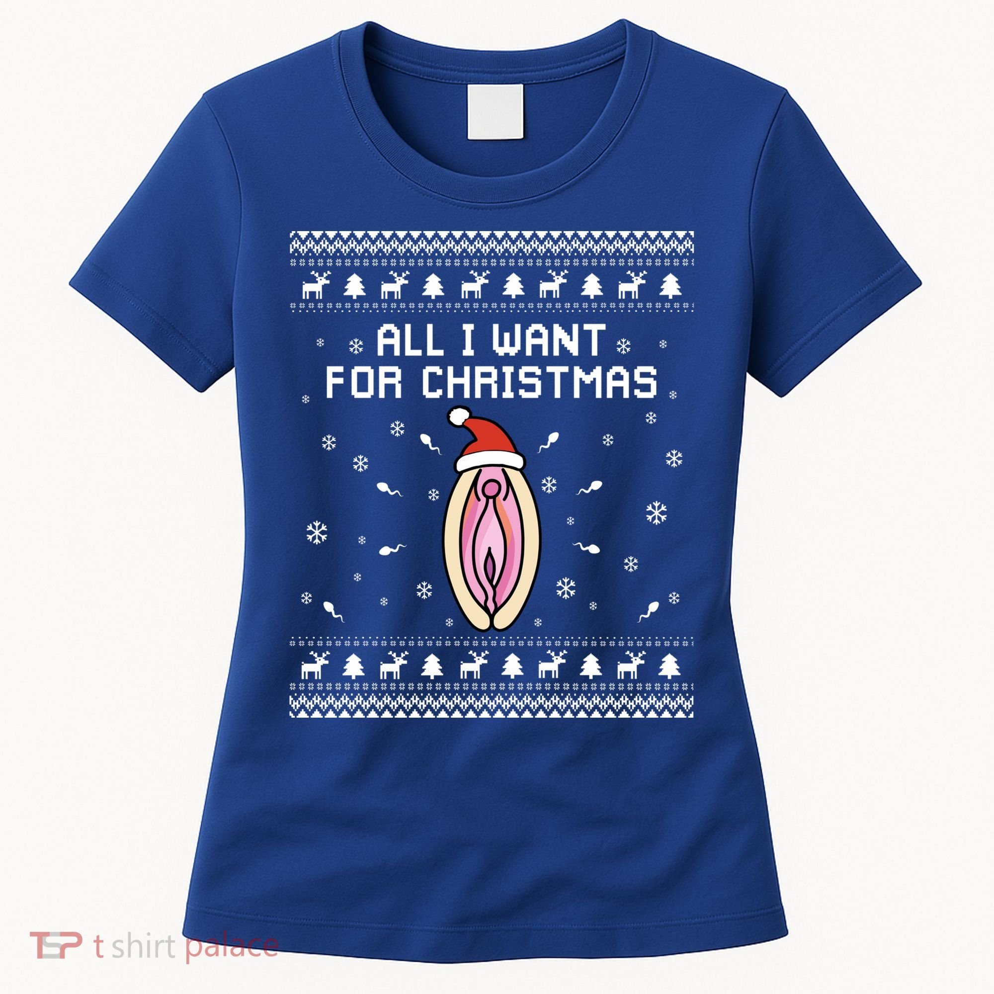 Dirty Ugly Christmas Sweater For Husband Or Friend Cool Gift Women's T-Shirt
