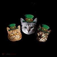 Drink Up Pussies Funny Cat Drinking St Patricks Day Coffee Mug thumb 5