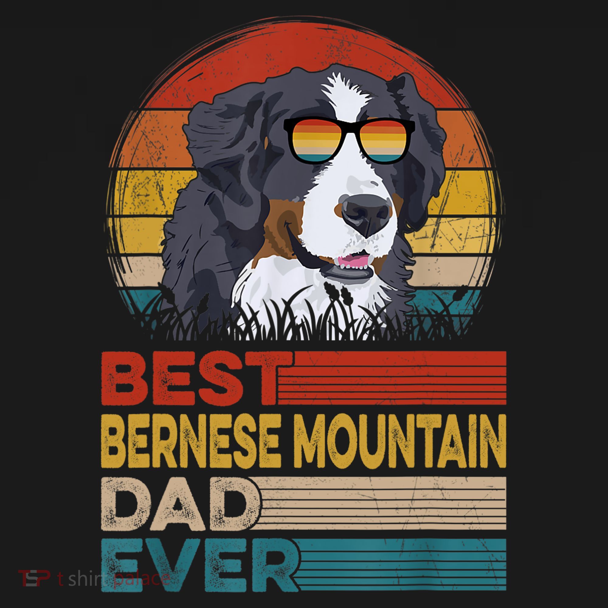 Dog Vintage Best Bernese Mountain Dad Ever Fathers Day Dad Cool Gift T-Shirt