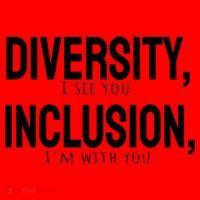 Diversity Vs Inclusion Santa Hat thumb 1