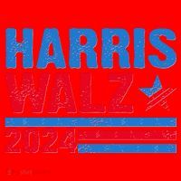 Distressed Vote Kamala Harris Tim Walz 2024 Election Santa Hat thumb 1