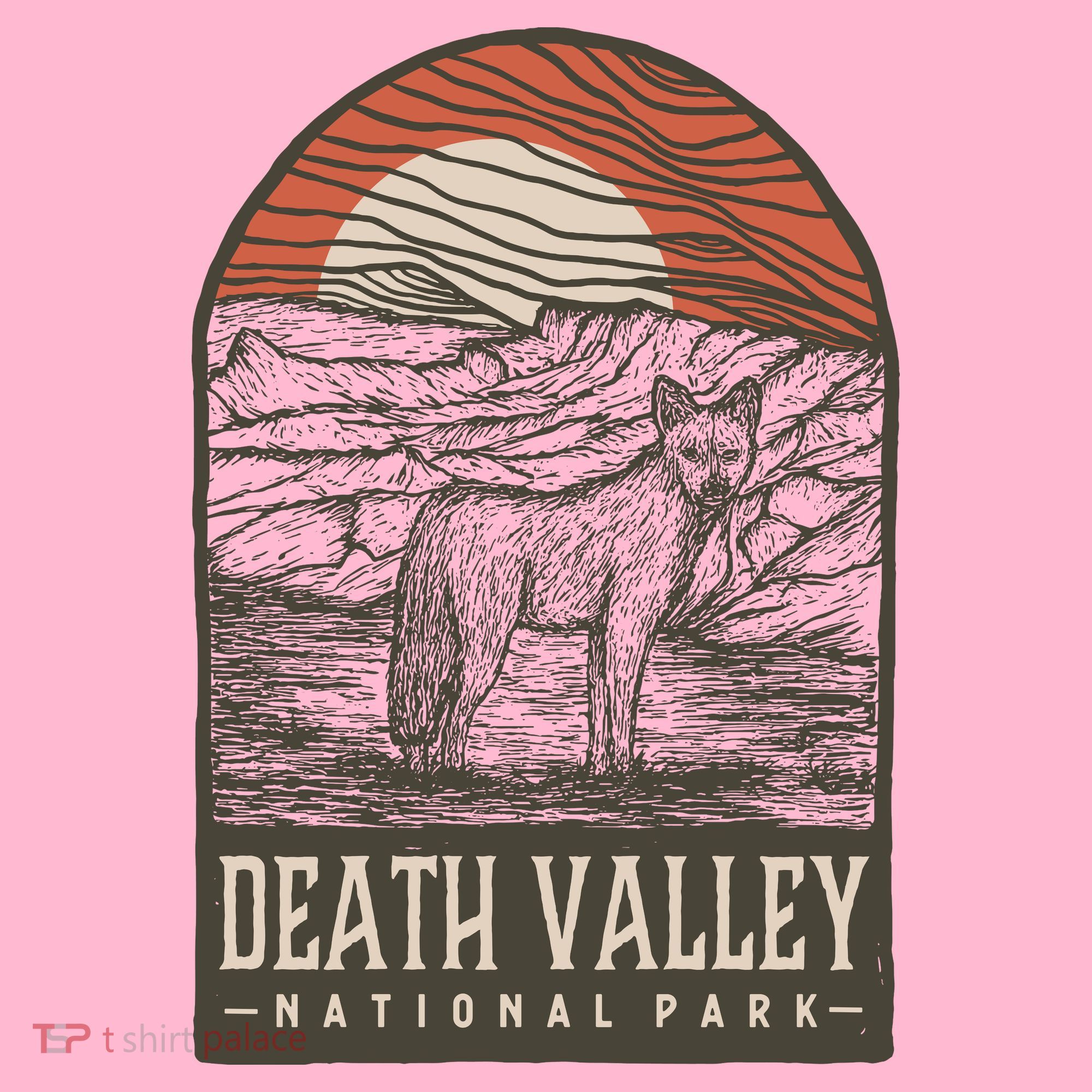 Death Valley National Park Coaster