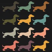 Dachshund Vintage Silhouette funny Dog Lover T-Shirt thumb 7