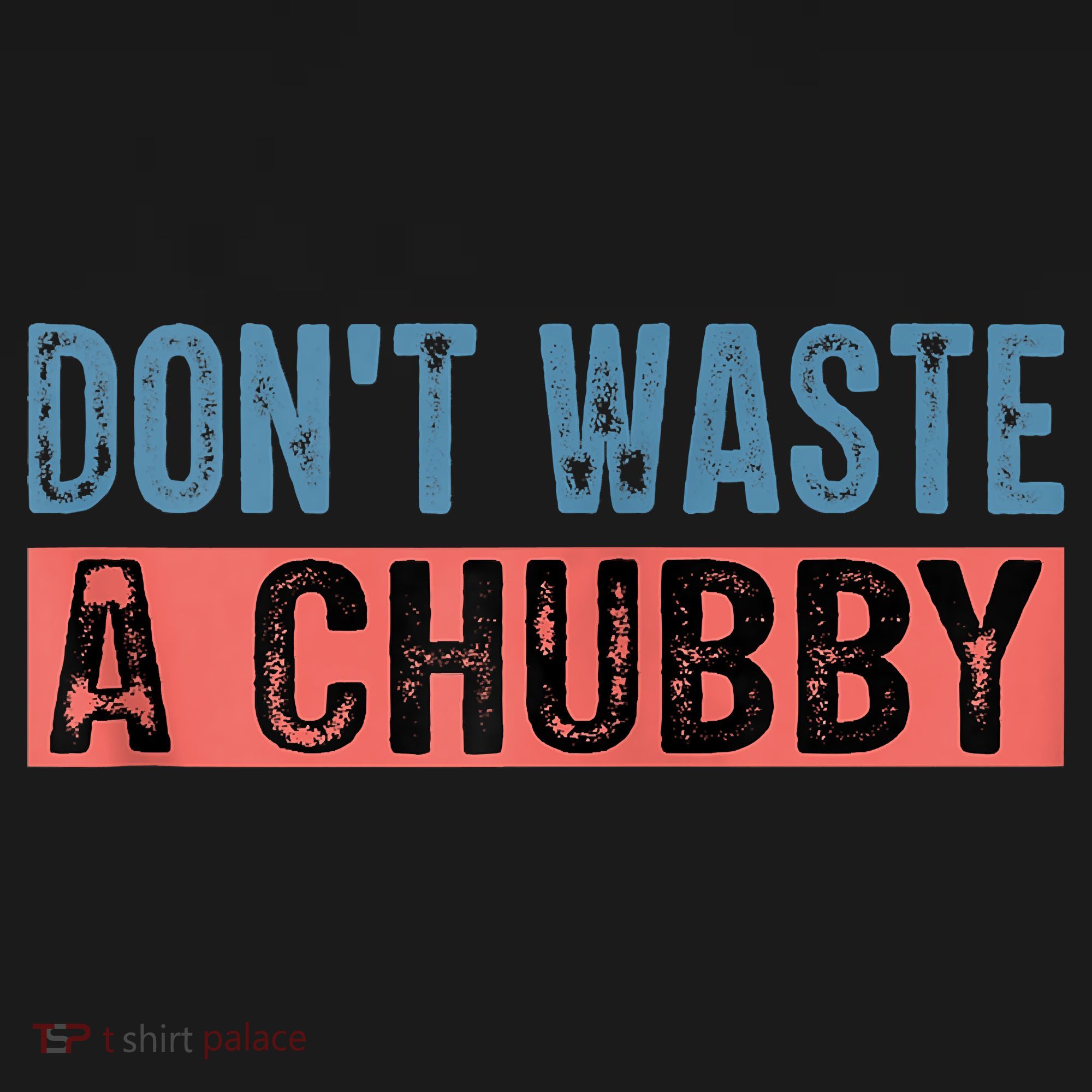 Don't Waste A Chubby Funny Saying Coaster