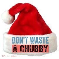 Don't Waste A Chubby Funny Saying Santa Hat thumb 0