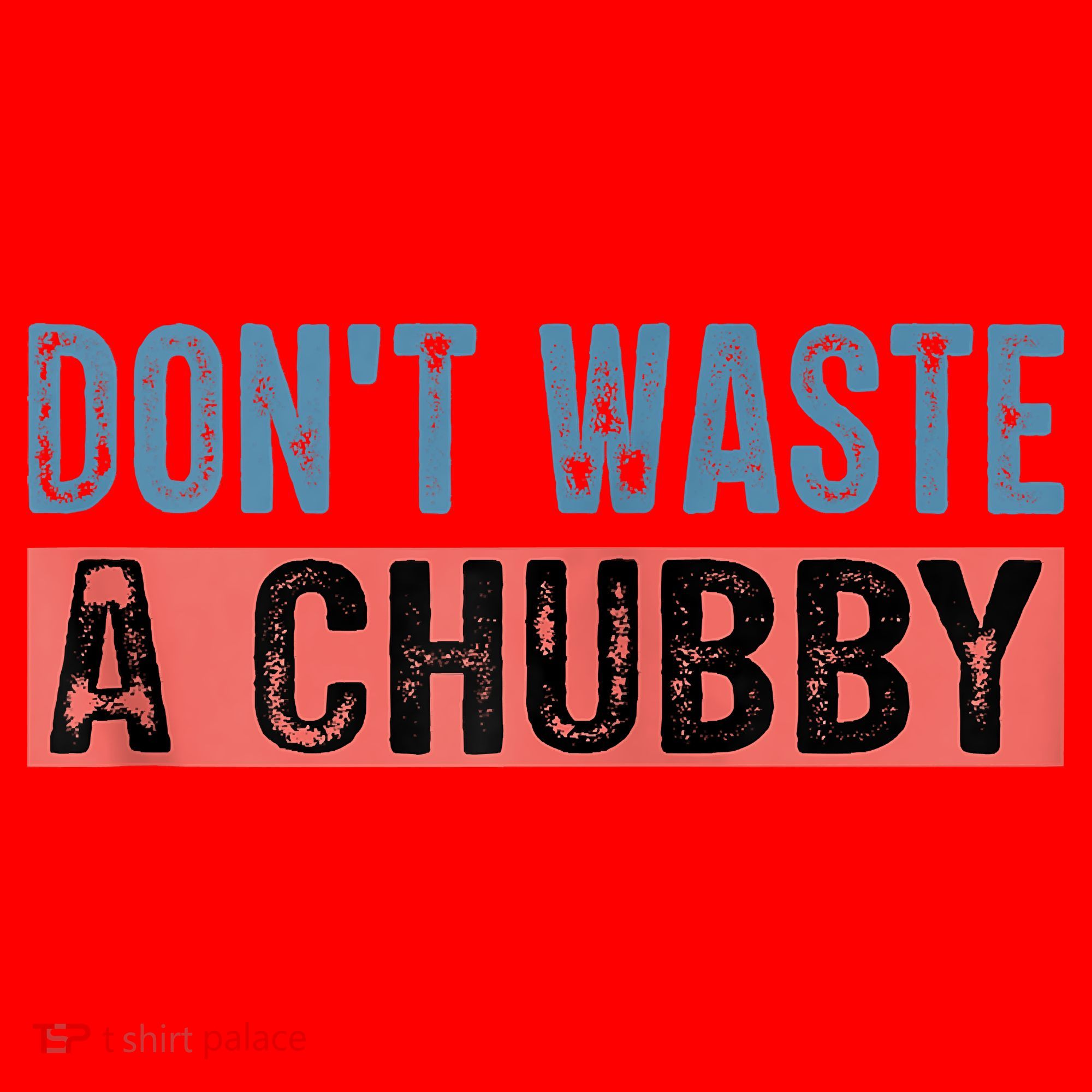 Don't Waste A Chubby Funny Saying Santa Hat