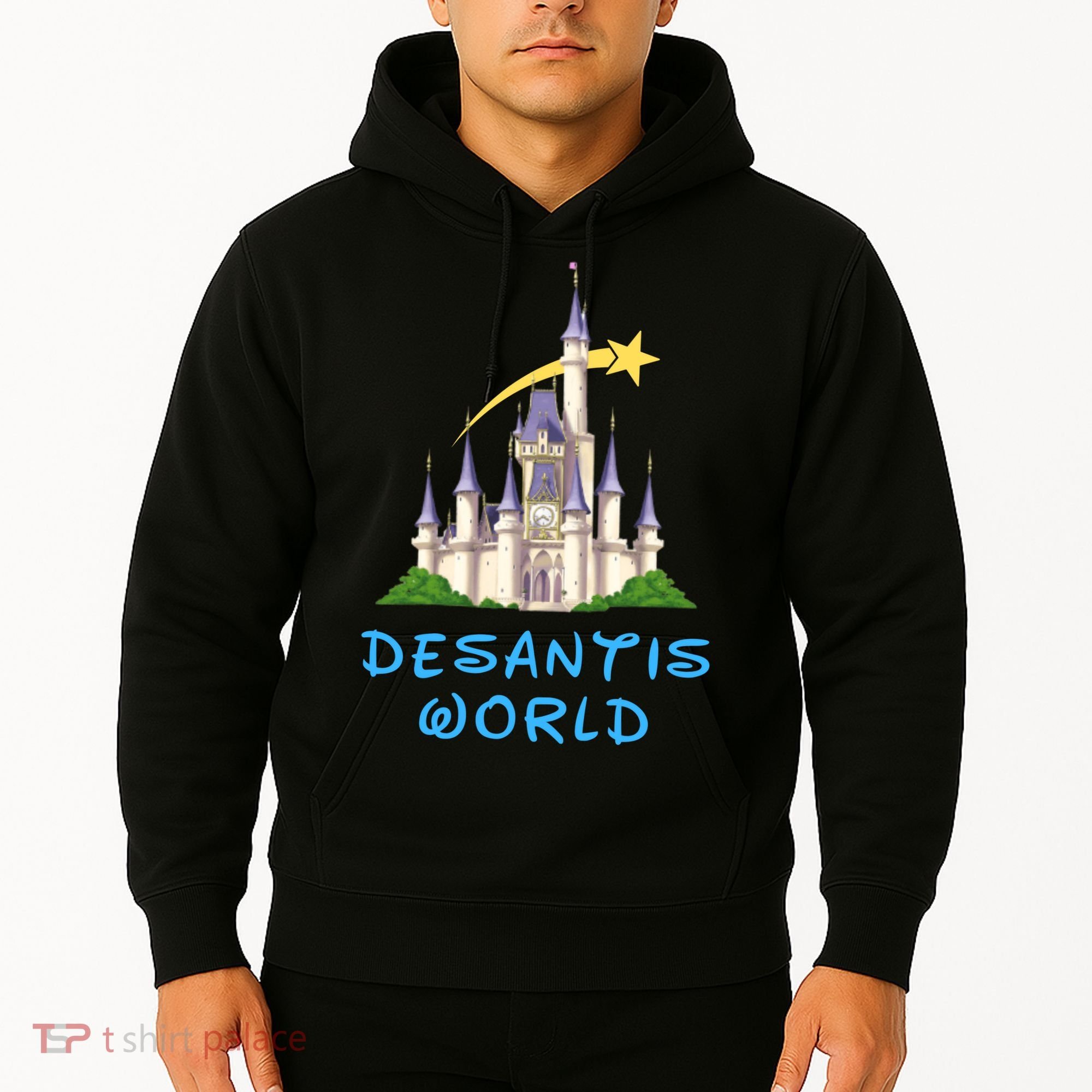 Desantis World Anti Woke Conservative Hoodie