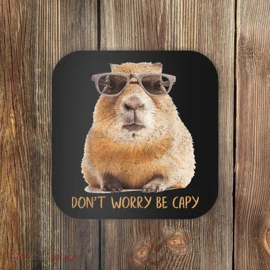 Coaster