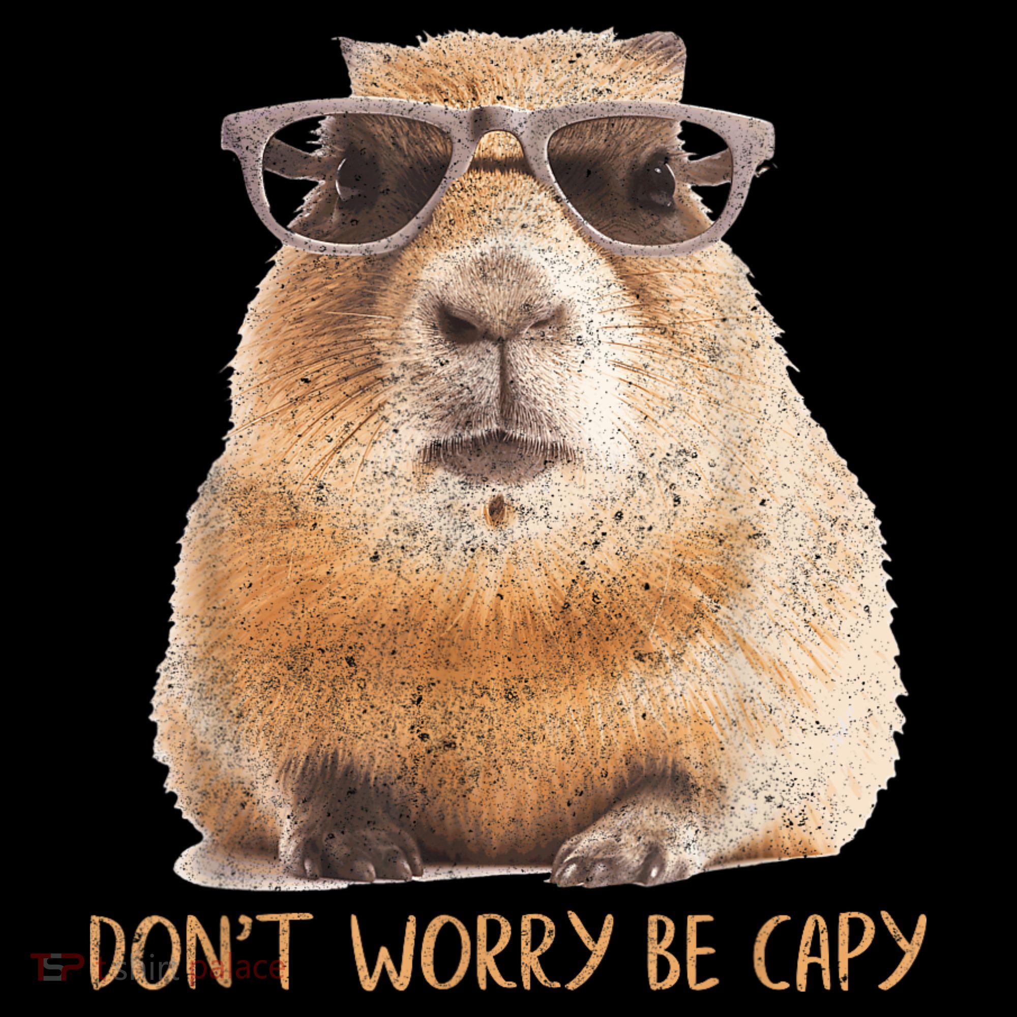 Dont Worry Be Capy Capybara Funny Capybara Lovers Women's Perfect Tri Rocker Tank