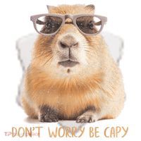 Dont Worry Be Capy Capybara Funny Capybara Lovers Ceramic Ornament thumb 2