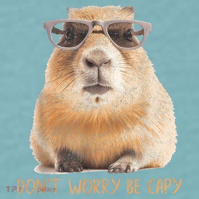 Dont Worry Be Capy Capybara Funny Capybara Lovers Sueded Cloud Jersey T-Shirt