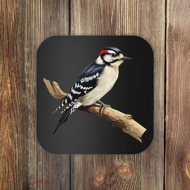 Downy Woodpecker Bird Lover Illustration Coaster