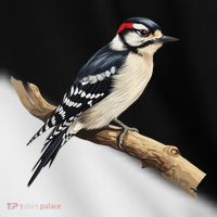 Downy Woodpecker Bird Lover Illustration Toddler Fine Jersey T-Shirt thumb 2
