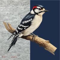 Downy Woodpecker Bird Lover Illustration Kids Colorblock Raglan Jersey thumb 2