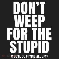 DonT Weep For The Stupid YouLl Be Crying All Day Alexander Anderson Beanie thumb 2