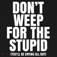 DonT Weep For The Stupid YouLl Be Crying All Day Alexander Anderson Women's Hoodie thumb 2