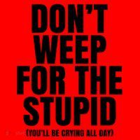 DonT Weep For The Stupid YouLl Be Crying All Day Alexander Anderson Santa Hat thumb 1