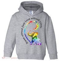 Dream Without Fear Love Without Limits Elephant LGBT Toddler Hoodie thumb 0