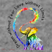 Dream Without Fear Love Without Limits Elephant LGBT Toddler Hoodie thumb 2
