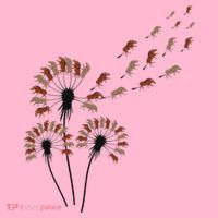 Dandelion Warthogs For Warthog Lover Warthog Coaster thumb 2