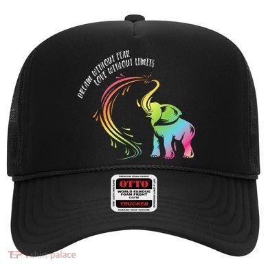 Dream Without Fear Love Without Limits Colorful Elephant Hat