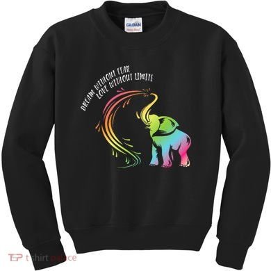 Dream Without Fear Love Without Limits Colorful Elephant Kids Sweatshirt
