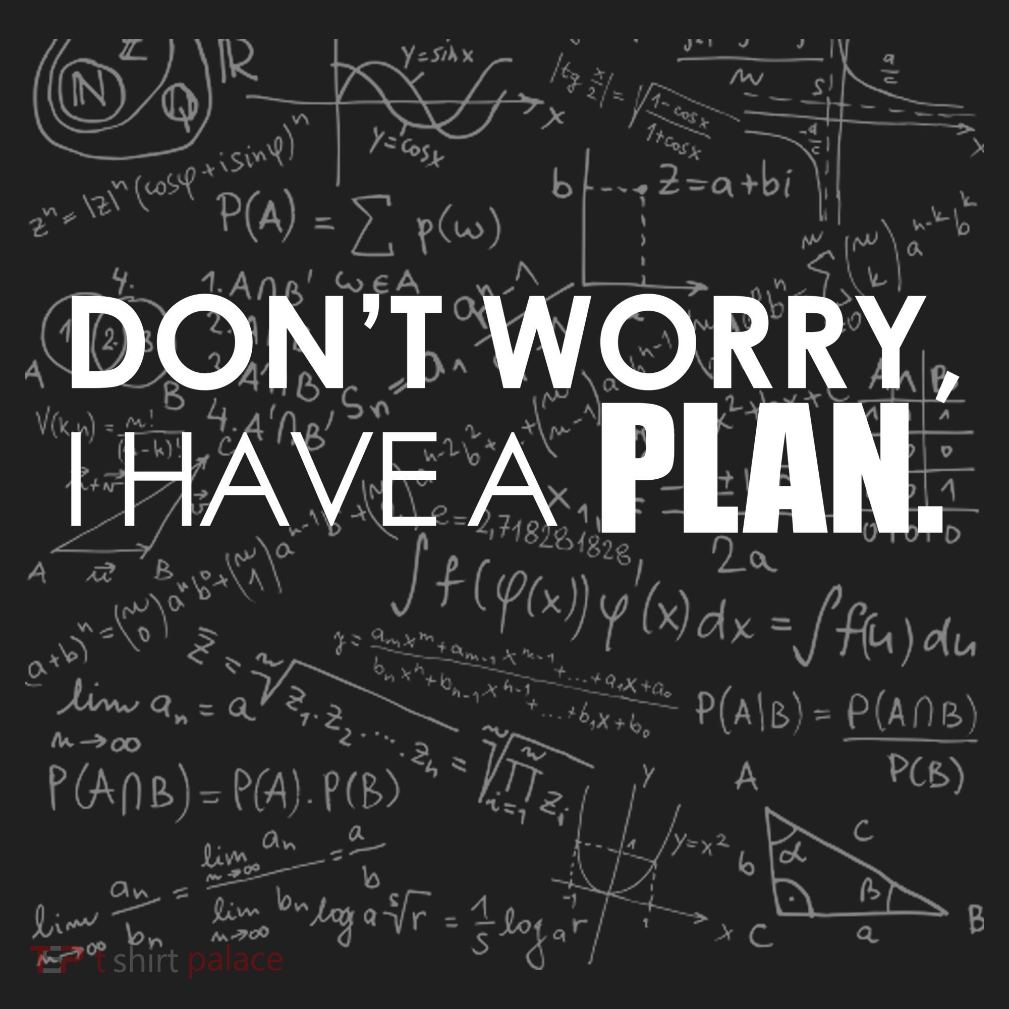 Don't Worry I Have A Plan Funny Math Joke Sarcasm Beanie