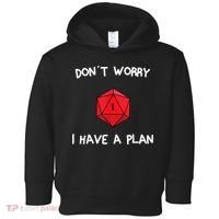 Dont Worry I Have A Plan Roleplaying Dice D20 Game Master Toddler Hoodie thumb 0
