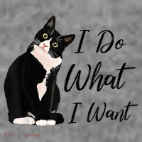 Do What I Want Tuxedo Cat Mom Cute Funny Graphic TShirt Toddler Hoodie thumb 2