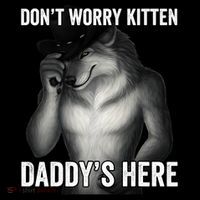 DonT Worry Kitten DaddyS Here Coaster thumb 2
