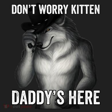 DonT Worry Kitten DaddyS Here 24oz Duet Stainless Steel Tumbler