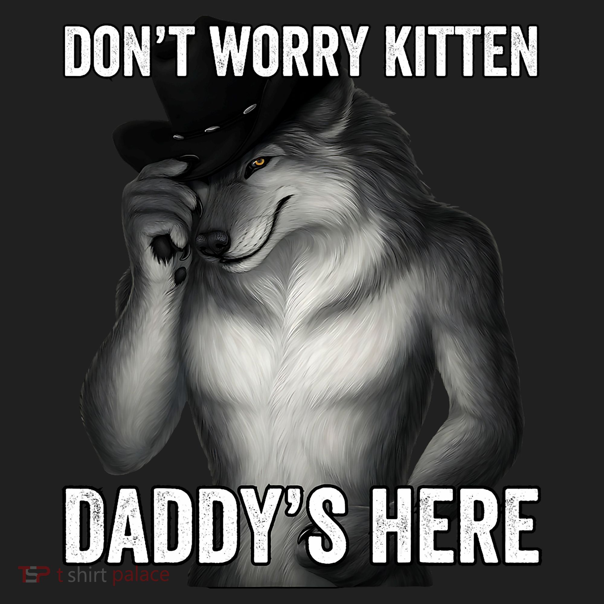 DonT Worry Kitten DaddyS Here 24oz Duet Stainless Steel Tumbler