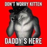 DonT Worry Kitten DaddyS Here Santa Hat thumb 1