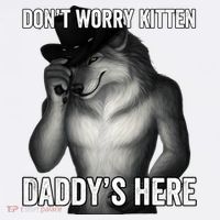 DonT Worry Kitten DaddyS Here Women's Hoodie thumb 2