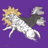 Double Wolf Moon Sun Coaster thumb 2
