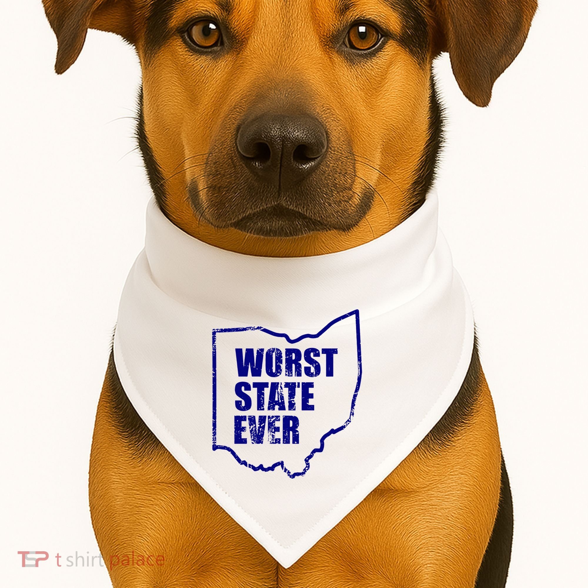 Distressed Worst State Ever Ohio Michigan Sports Fan USA-Made Doggie Bandana