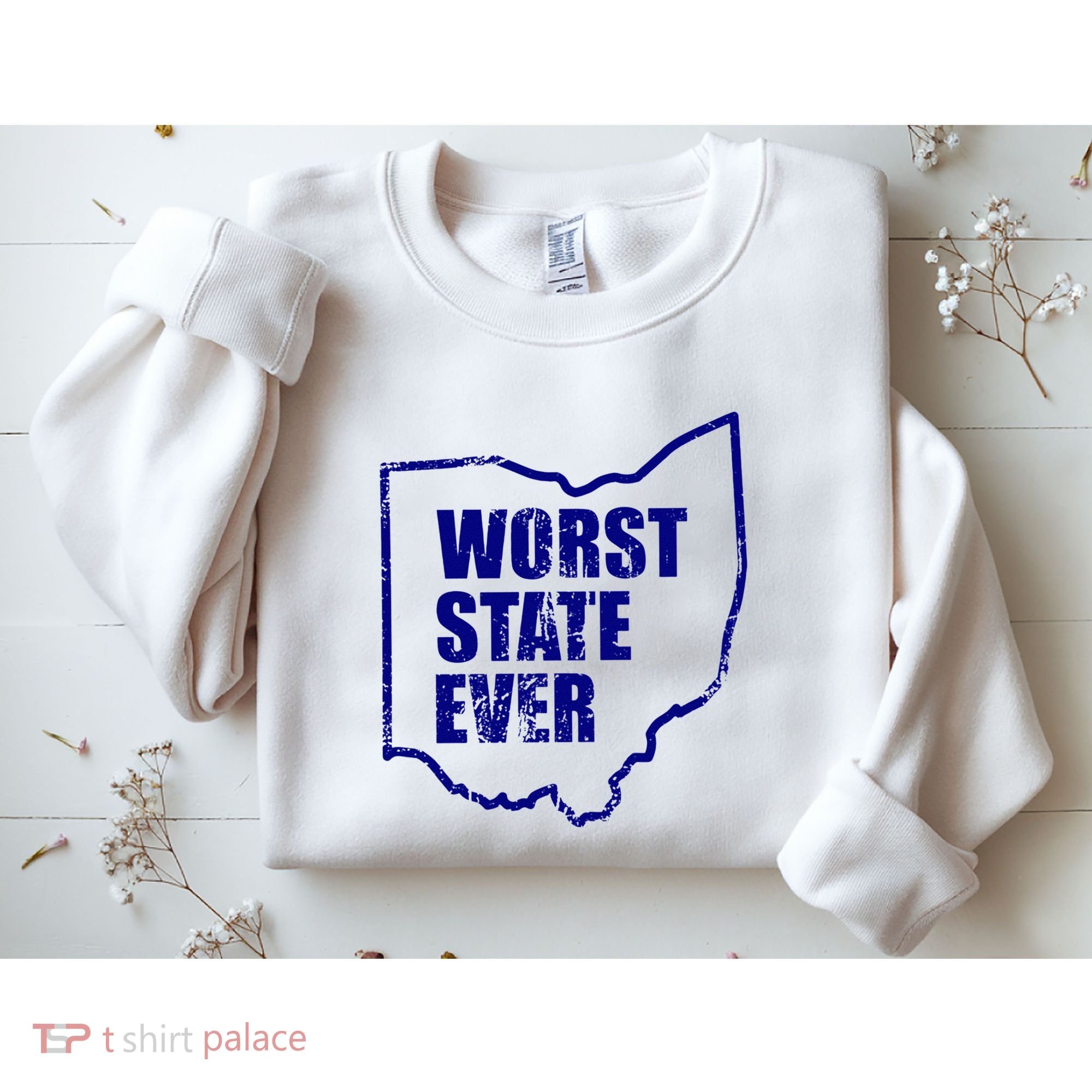 Distressed Worst State Ever Ohio Michigan Sports Fan Sweatshirt