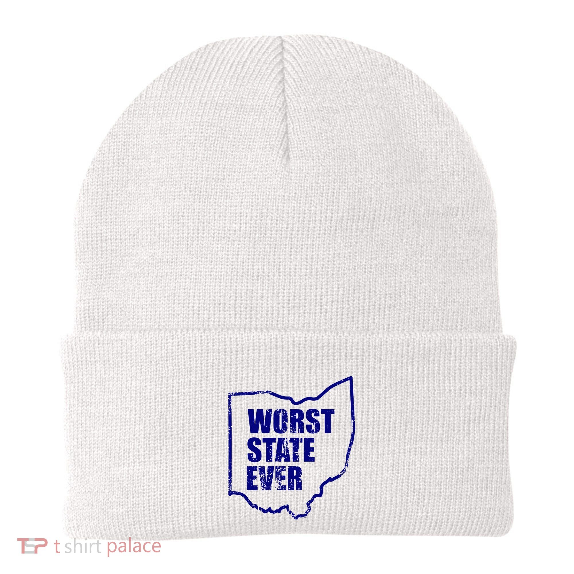 Distressed Worst State Ever Ohio Michigan Sports Fan Beanie