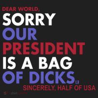 Dear World Sorry Our President Is A Bag Of Dicks Tumbler thumb 3