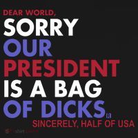Dear World Sorry Our President Is A Bag Of Dicks Ornament thumb 1
