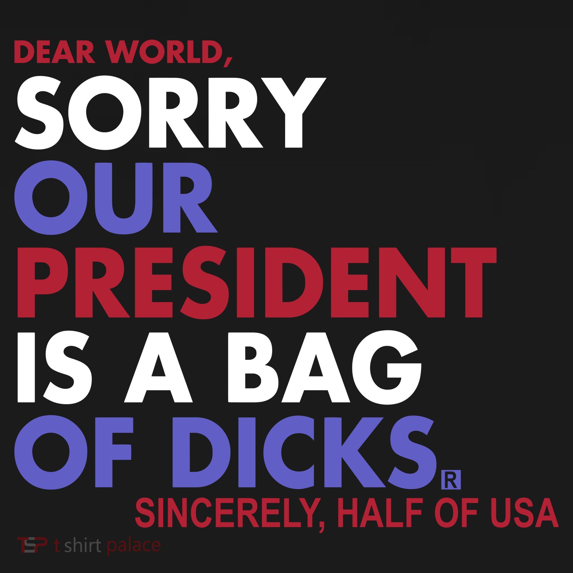 Dear World Sorry Our President Is A Bag Of Dicks Ornament