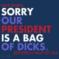 Dear World Sorry Our President Is A Bag Of Dicks Women's T-Shirt thumb 6