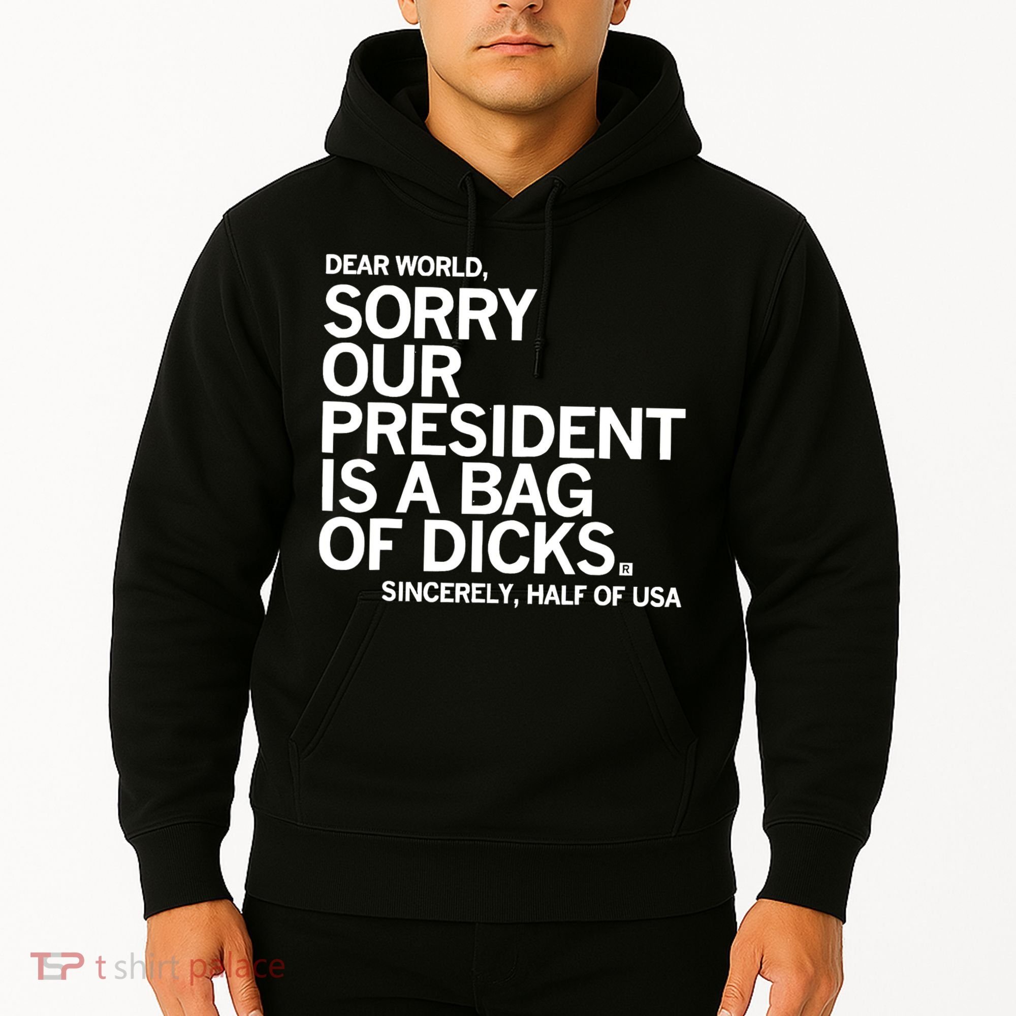 Dear World Sorry Our President Is A Bag Of Dicks Sincerely Hoodie
