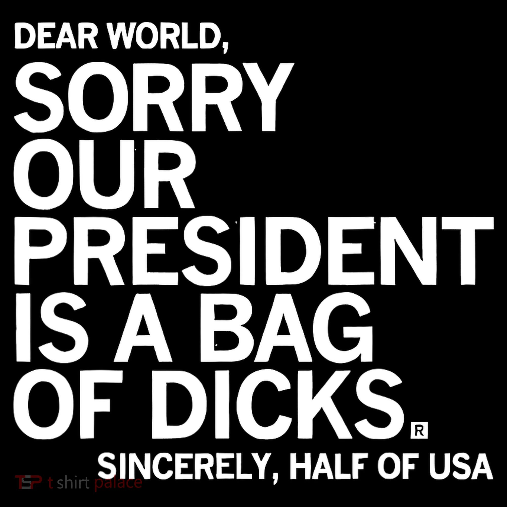 Dear World Sorry Our President Is A Bag Of Dicks Sincerely Women's Hoodie