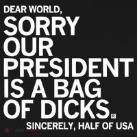 Dear World Sorry Our President Is A Bag Of Dicks Sincerely Women's Tank Top thumb 5