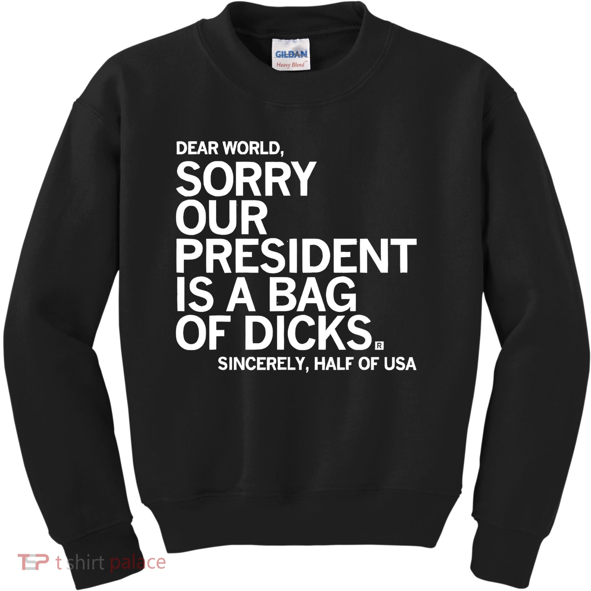 Dear World Sorry Our President Is A Bag Of Dicks Sincerely Kids Sweatshirt