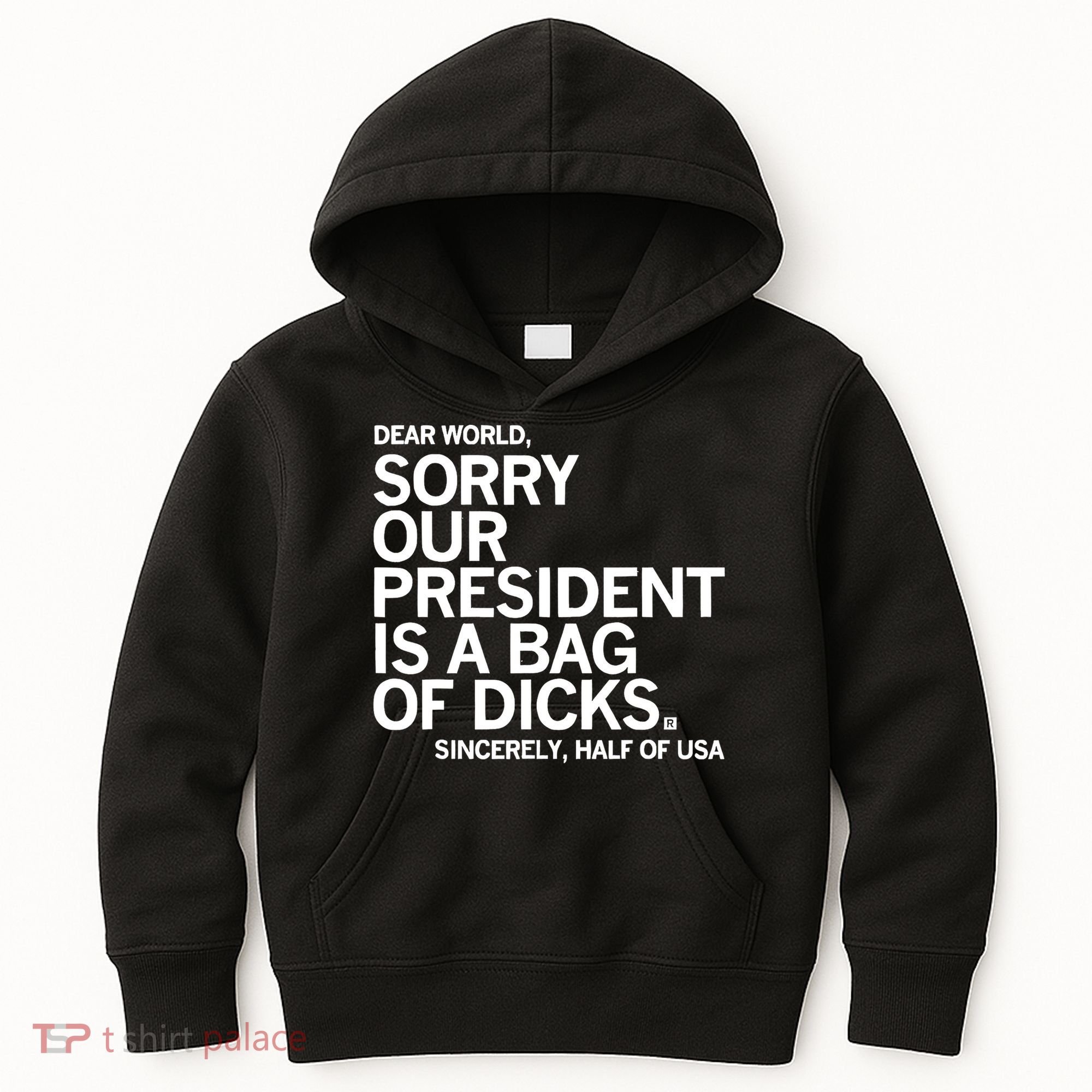 Dear World Sorry Our President Is A Bag Of Dicks Sincerely Kids Hoodie