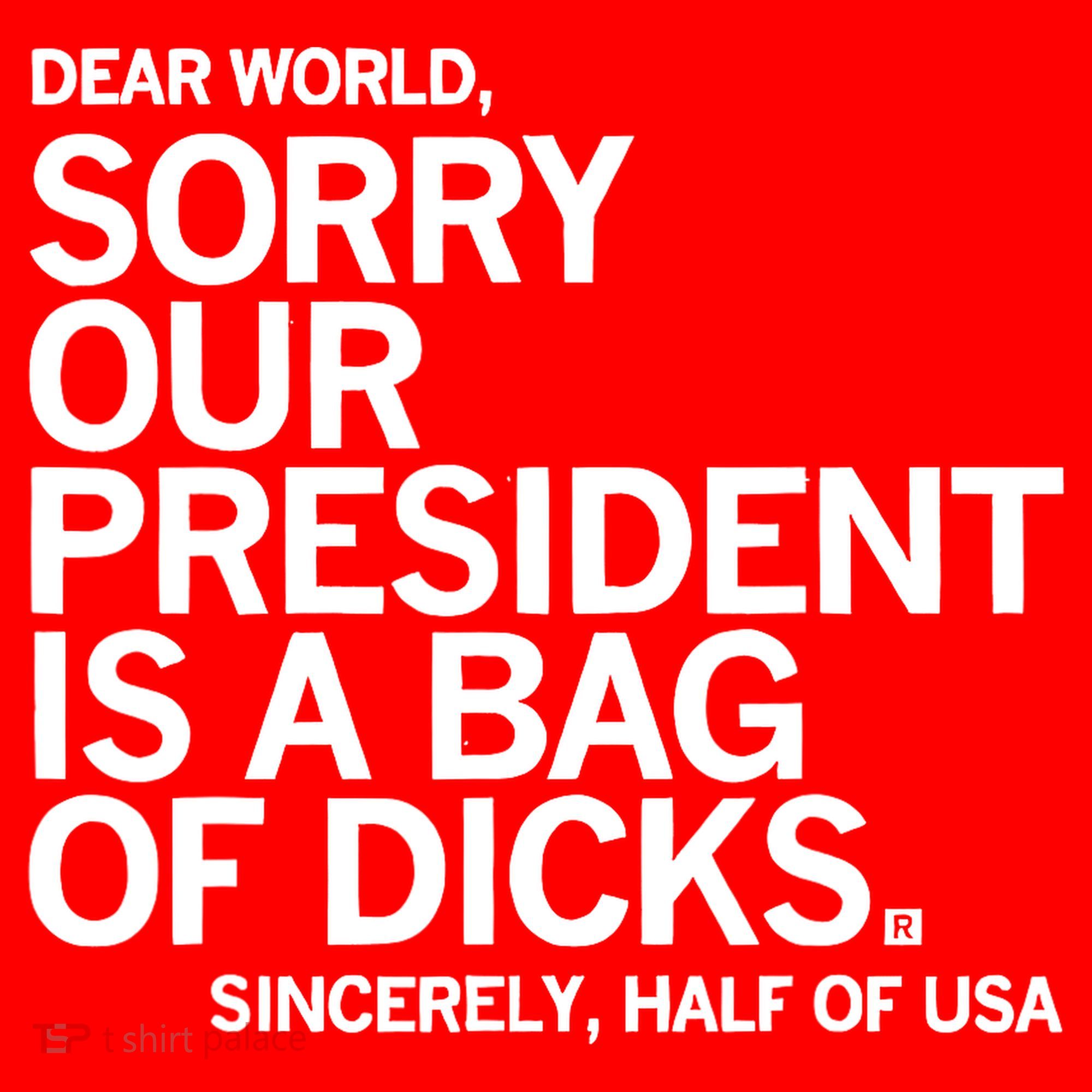 Dear World Sorry Our President Is A Bag Of Dicks Sincerely Santa Hat